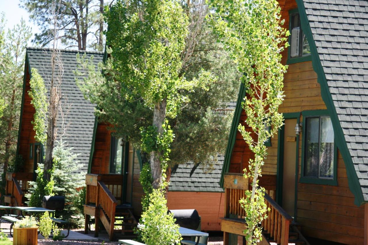 Готель Cabins On Strawberry Hill Pine Екстер'єр фото